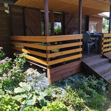 Lavender Retreat * Krakau